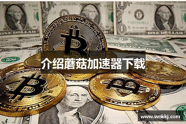 介绍蘑菇加速器下载